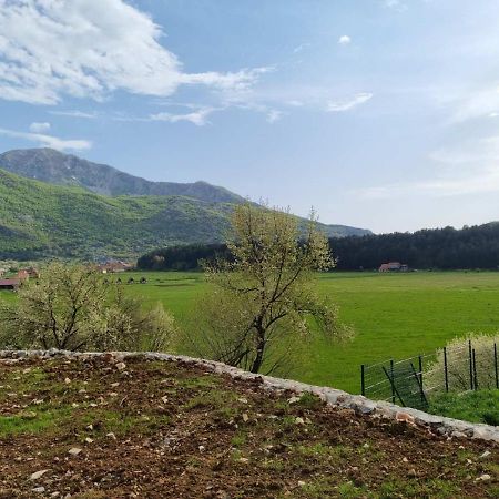 Apartamento Porto Njegusi A2 Cetinje Exterior foto